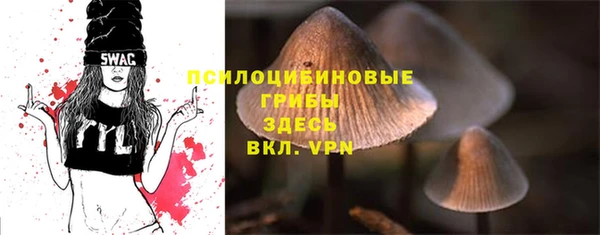 кристаллы Абаза