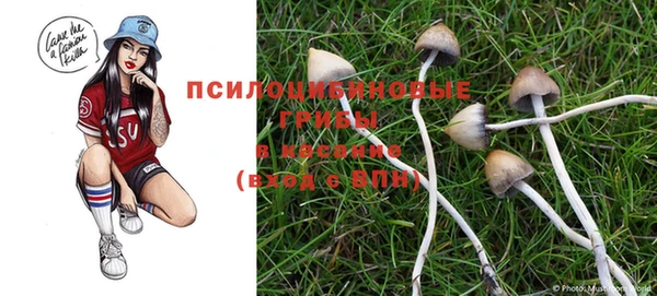 таблы Абинск
